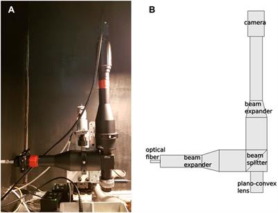 Charge Collection Dynamics of the ARCADIA Passive Pixel Arrays: Laser Characterization and TCAD Modeling